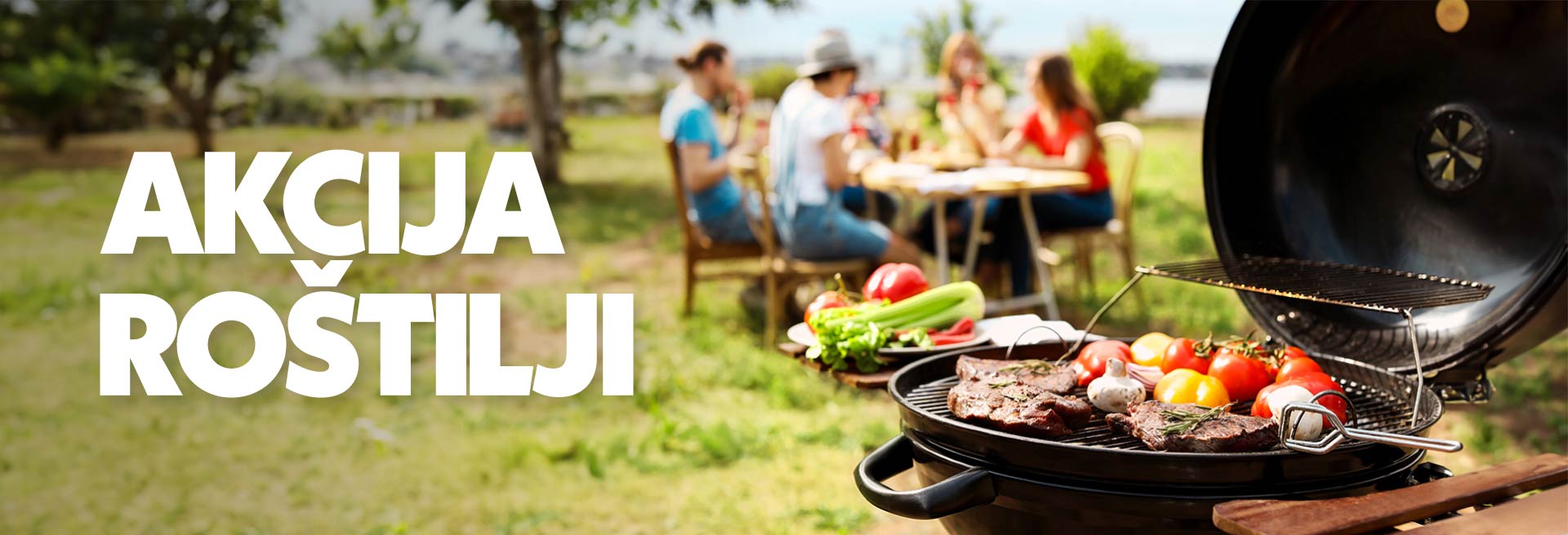 Roštilji akcija
