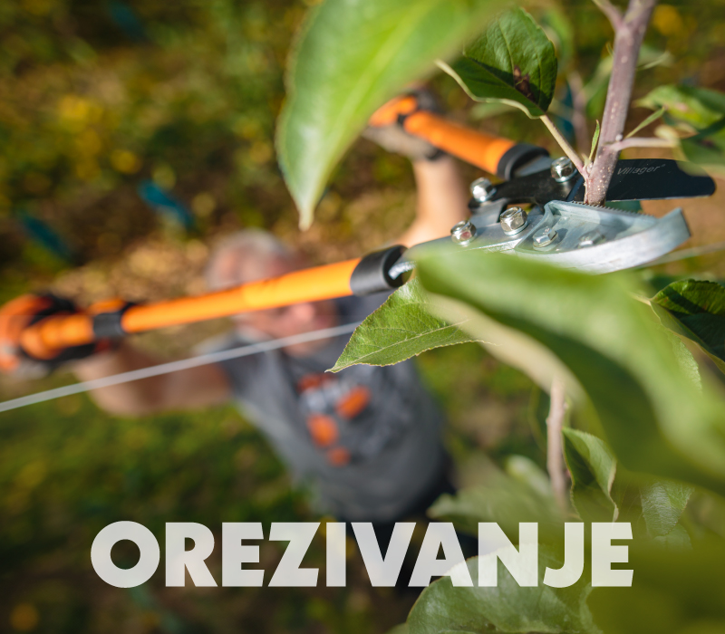 Orezivanje