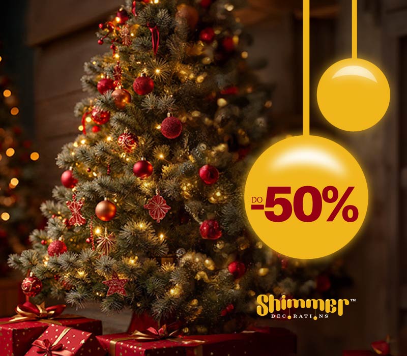 Novogodišnji program 