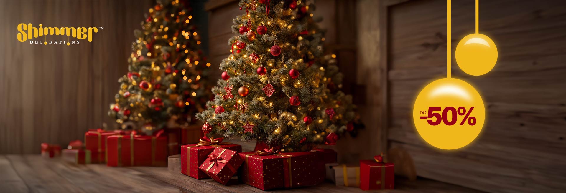 Novogodišnji program 