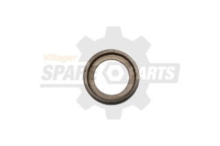 PODLOSKA LEZAJA MALE PESNICE 