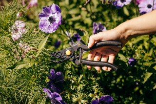 Makaze za orezivanje voćarske 1001530 P 90 