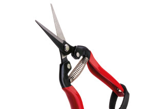 Makaze vinogradarske 