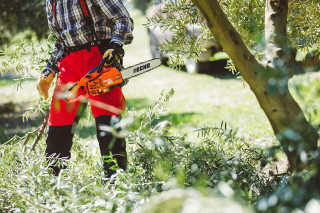 Motorna testera Echo CS-2511WES 