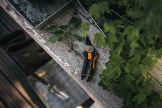 1057162 Makaze voćarske P321
