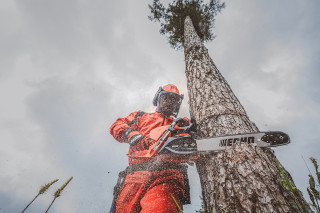 Motorna testera Echo CS-4310SX 