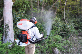 Motorna prskalica Echo MB-5810/12 