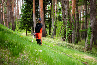 Akumulatorski trimer Echo DSRM-2600/L 