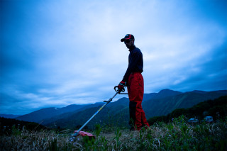 Akumulatorski trimer Echo DSRM-2600/L 