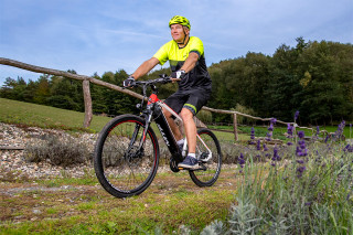 Baterijski bicikl Cross 4.4 (bez baterije) 