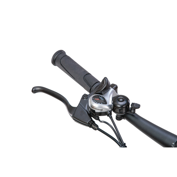 Baterijski bicikl Stormrider 250w 36V 10,4Ah Villager 