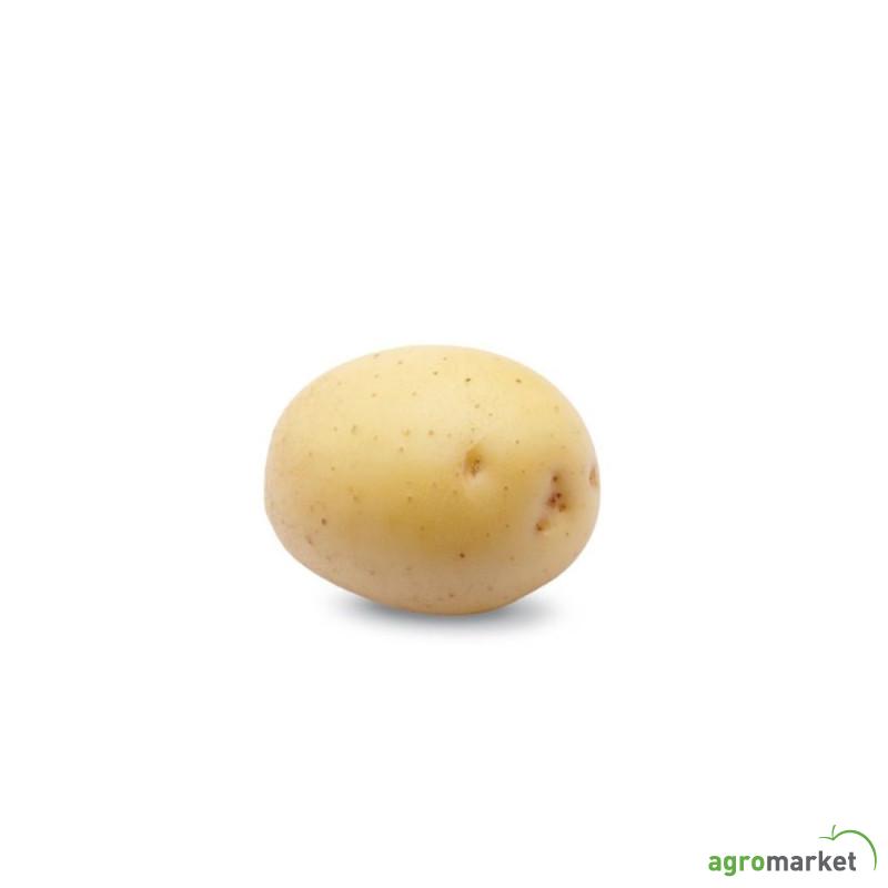 Semenski krompir COLOMBA 10/1 A 35/55 HOL 