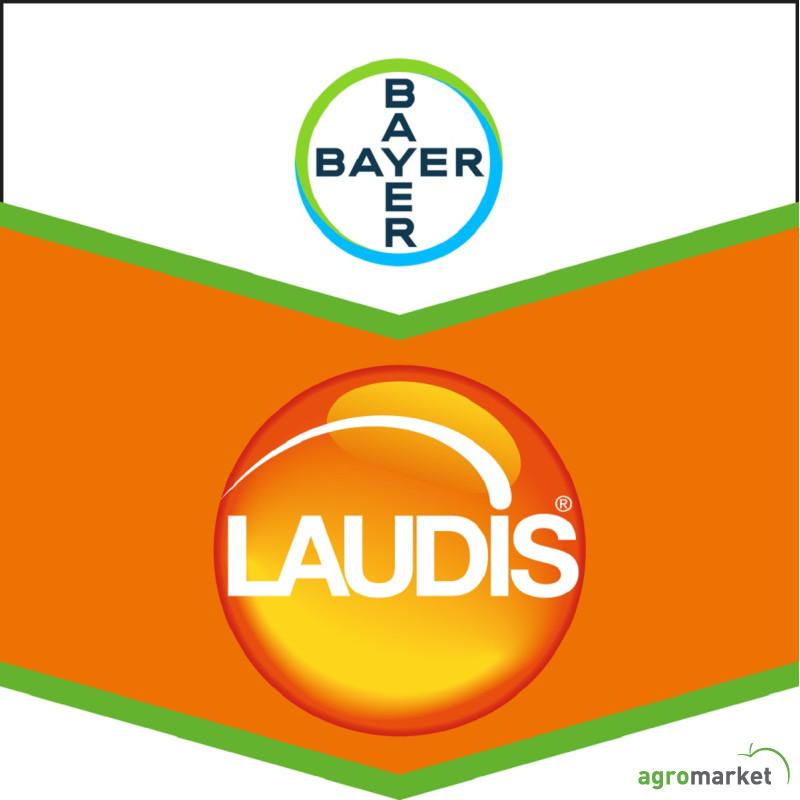 Laudis 1 l 
