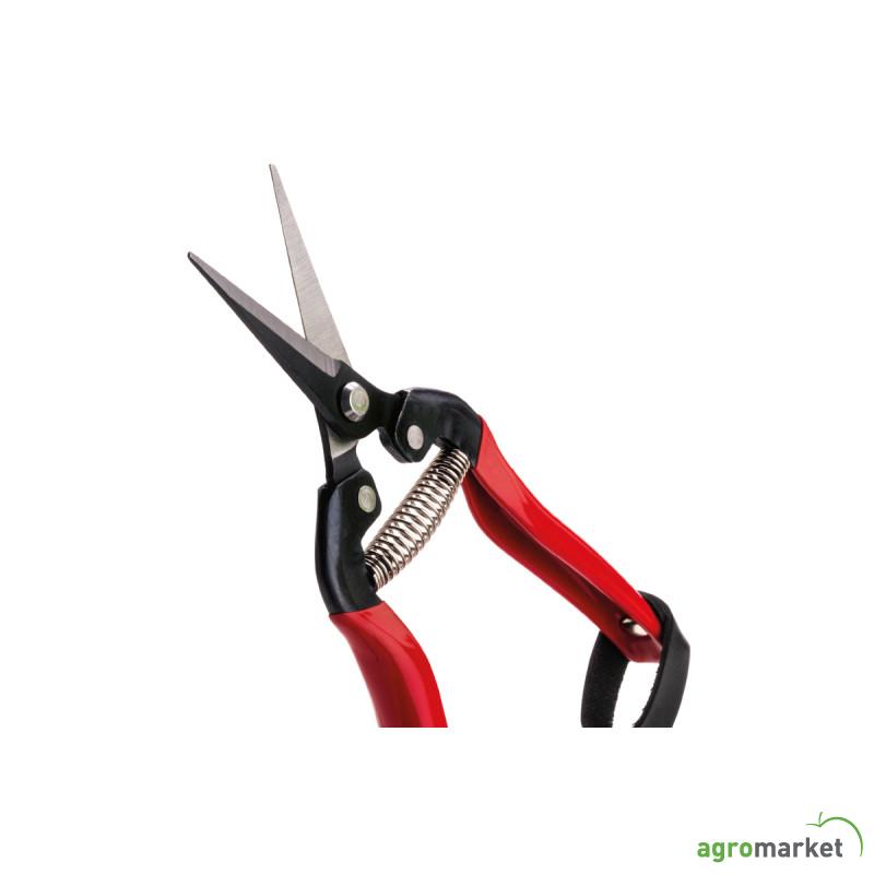 Makaze vinogradarske 