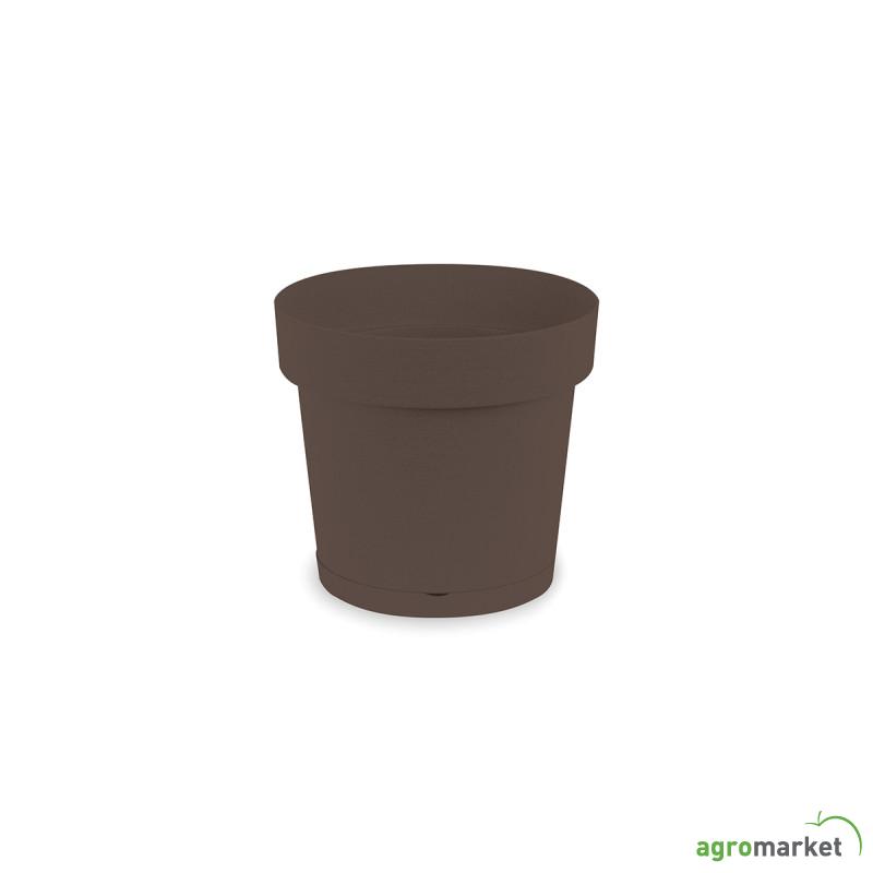 Melrose  glamour 25x24 moka 