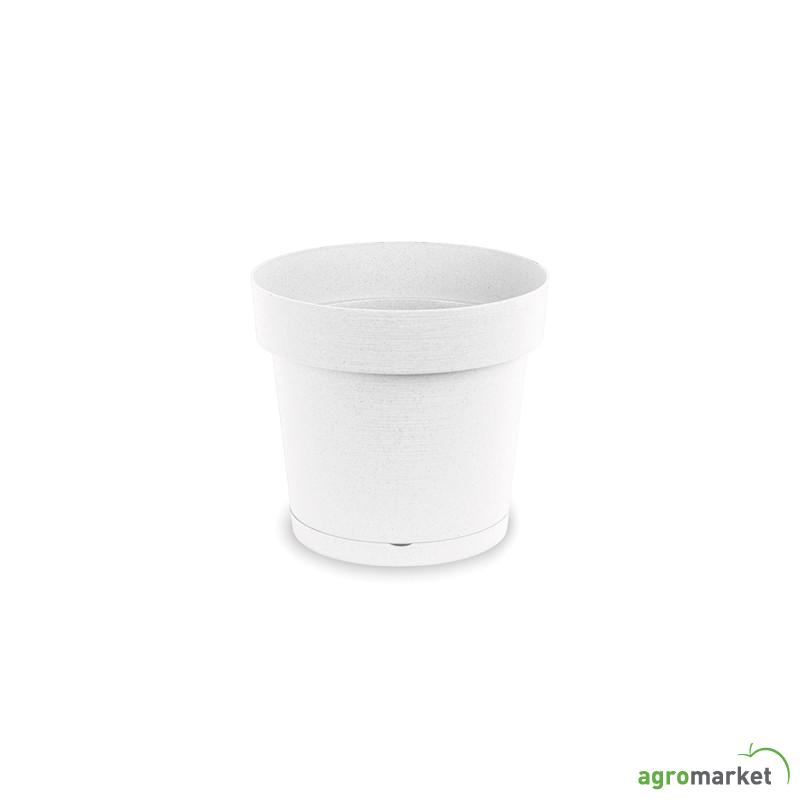 Melrose glamour 25x24 bela 